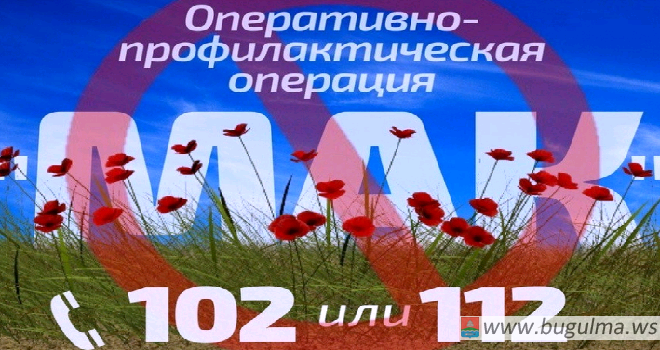 На территории района проводится второй этап операции «Мак – 2020».