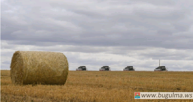 В Татарстане собрали второй миллион тонн зерна.