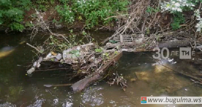 В Бугульме спасли дома от подтопления, расчистив реку от плотин бобров.