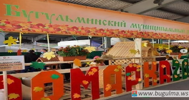 Колледжи и техникумы РТ реализовали на сельхозярмарке продукцию на 5 млн рублей.