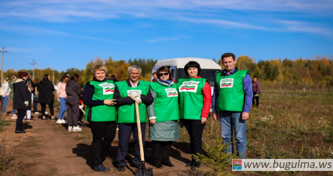 Бөгелмәдә яшәүчеләр «Урманны саклыйк» Бөтенроссия акциясенә кушылды.