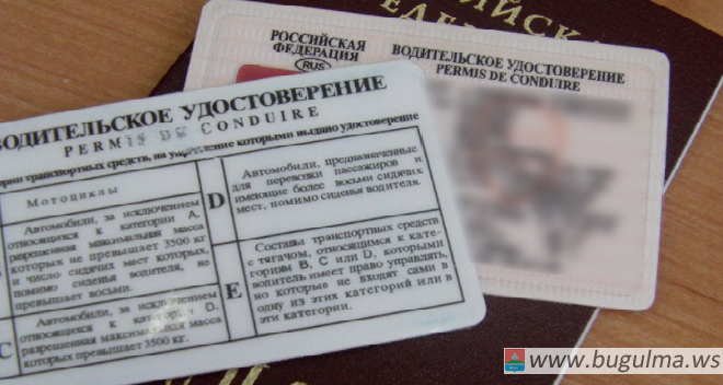 В России разрешат использовать водительские права для подтверждения личности.
