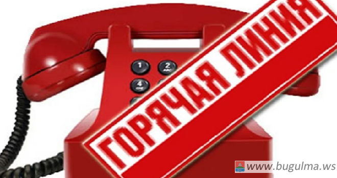 20 октября в Татарстане будет работать горячая линия «Женское внимание»