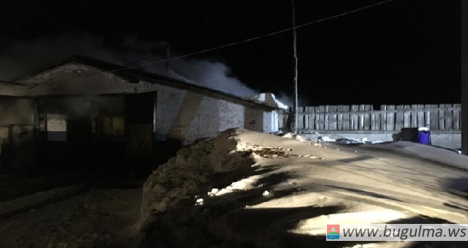 В Бугульминском районе Татарстана во время пожара на ферме спасли 80 коров.