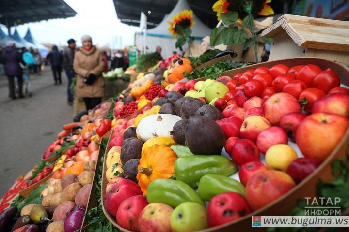 Врач назвала главные правила здорового питания