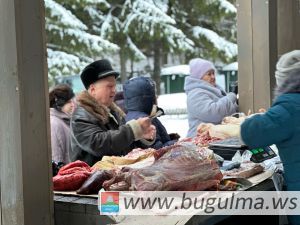 В Бугульме из-за мороза отменили работу сельхозярмарки 9 декабря