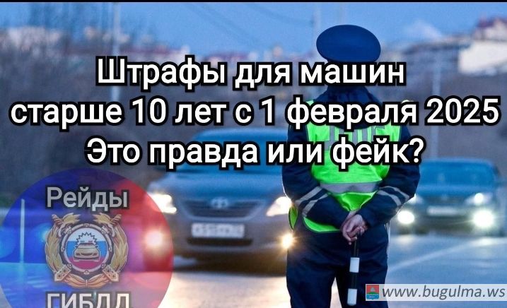 Правда или фейк❓️