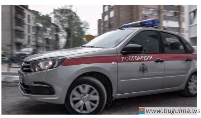 В Бугульме сотрудники Росгвардии задержали двоих подозреваемых в грабеже.