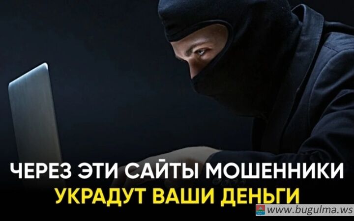 В Госдуме рассказали о росте подделок сайтов учебных заведений.