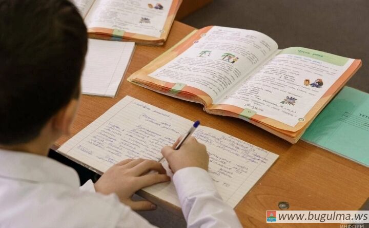 Учитель Снегуров высказался против отмены домашних заданий в школах.