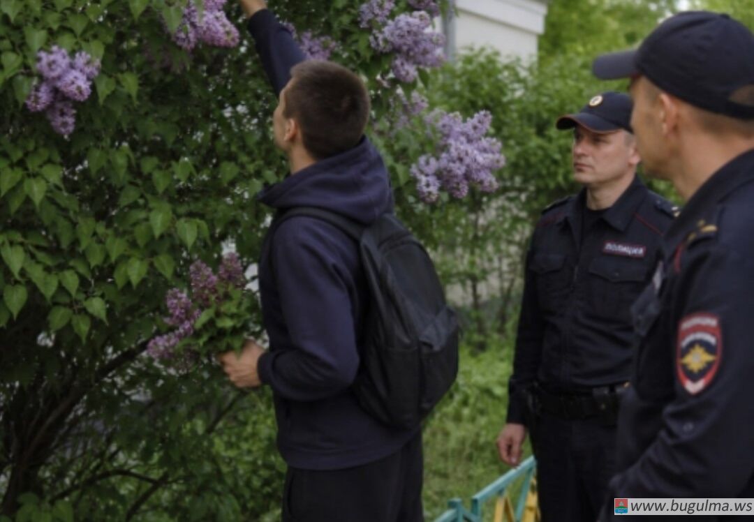 За сорванную сирень в России можно получить до 15 суток ареста.
