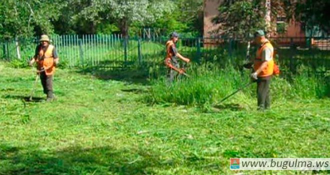 Зеленый город: покос газонов на территории Бугульмы