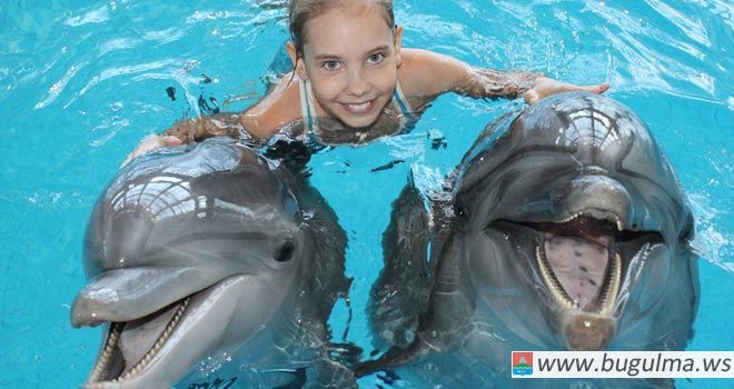 Впереди каникулы, а у нас для вас новость - в Челнинский дельфинарий приехали новые артисты!