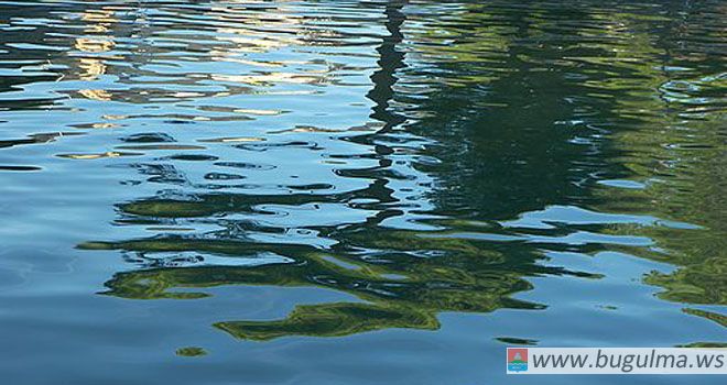 В Бугульминском районе в одной из рек обнаружено превышение ПДК по азоту нитритному