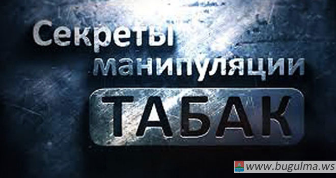 В бугульминском лагере «Сосновка» детям показали познавательные фильмы