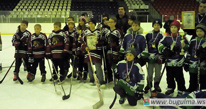 Бугульминцы и бавлинцы стали призерами турнира по хоккею