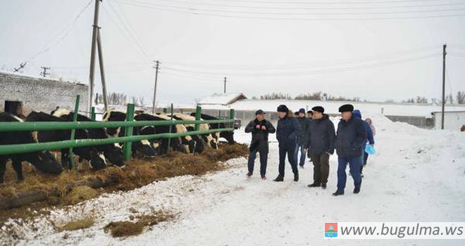 Линар Закиров посетил сельхозпредприятия района