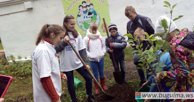 Бугульминские молодогвардейцы приняли участие в создании яблоневого сада