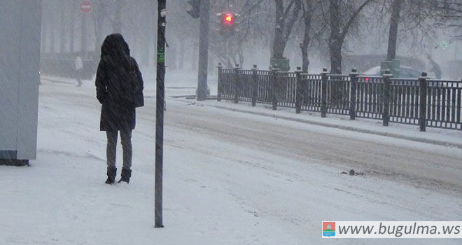 В Бугульме за 3 дня выпала треть месячной нормы осадков