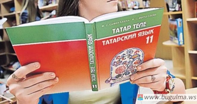 В Татарстане намерены провести референдум об обязательном преподавании татарского в школах