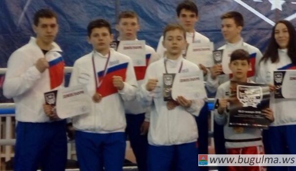 Всероссийские соревнования по кикбоксингу 