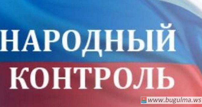 Аделю Вафину через «Народный контроль» накидали «черных шаров»