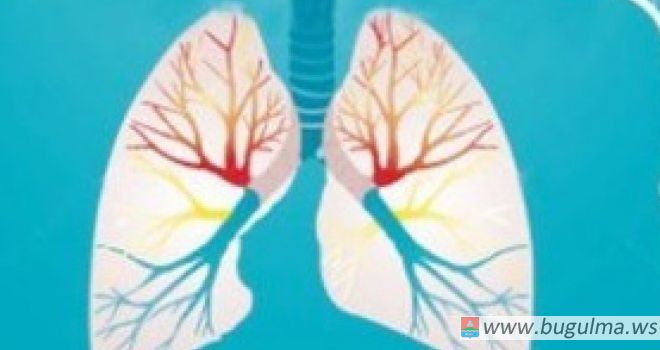 Профилактика заболеваний органов дыхания