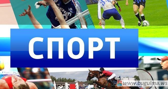 Спорт.