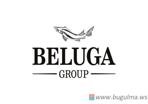 BELUGA GROUP